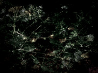 160616-6-15