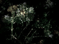 160616-6-10