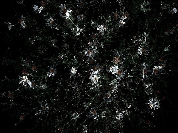 160616-4-16