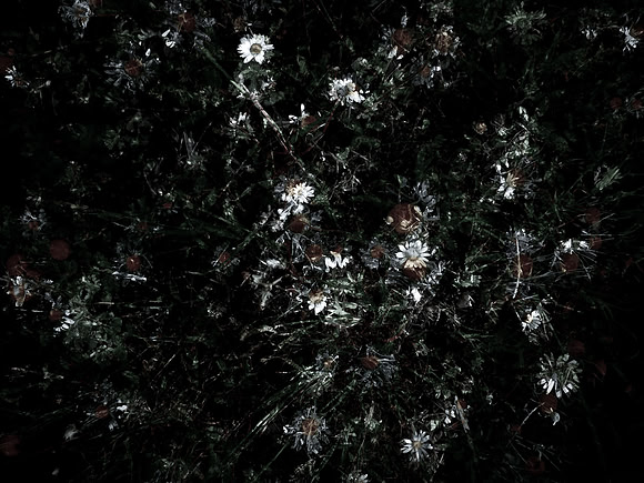160616-4-21