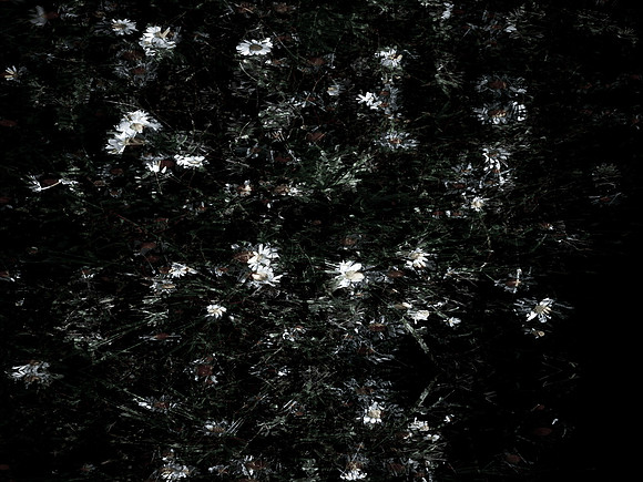 160616-4-23