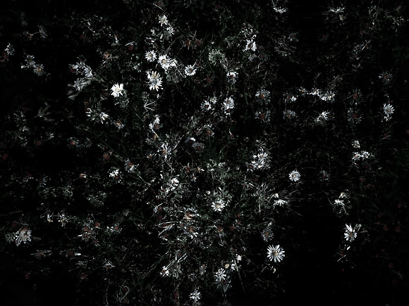160616-4-4