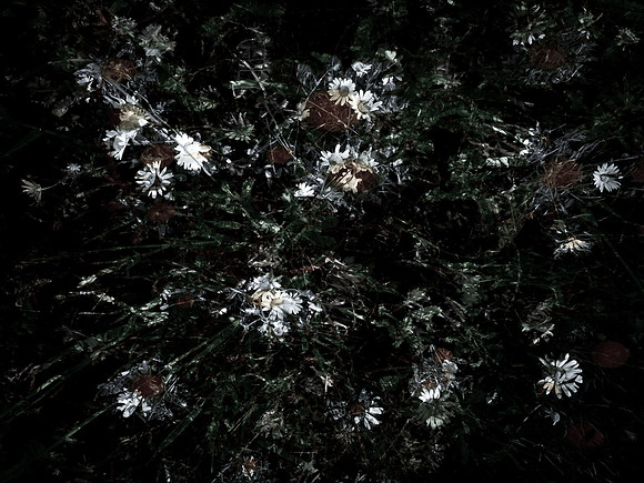 160616-4-3