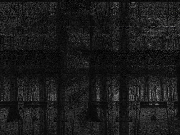 20-116