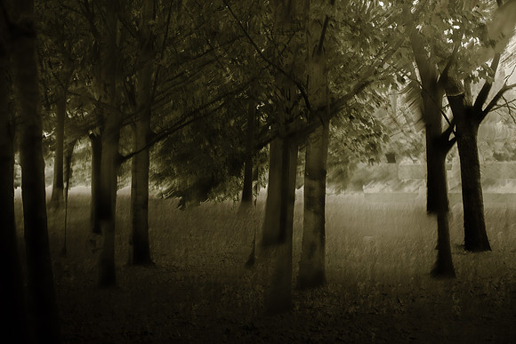 2013-09-30v2-604-2