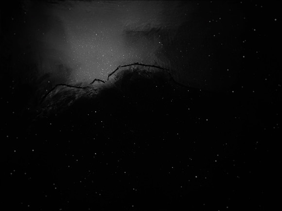luna 6-49