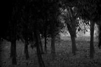 2013-09-30v2-705