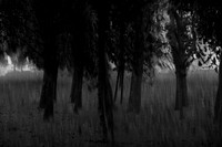 2013-09-30v2-700