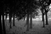 2013-09-30v2-604