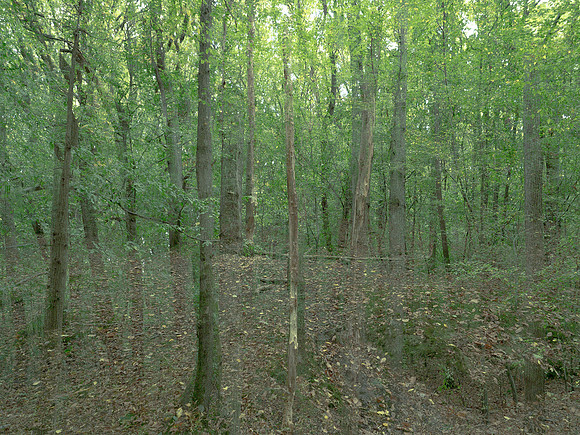 201016-3-6