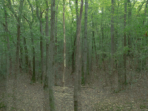 201016-3-14