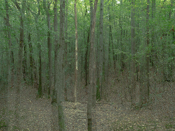 201016-3-1