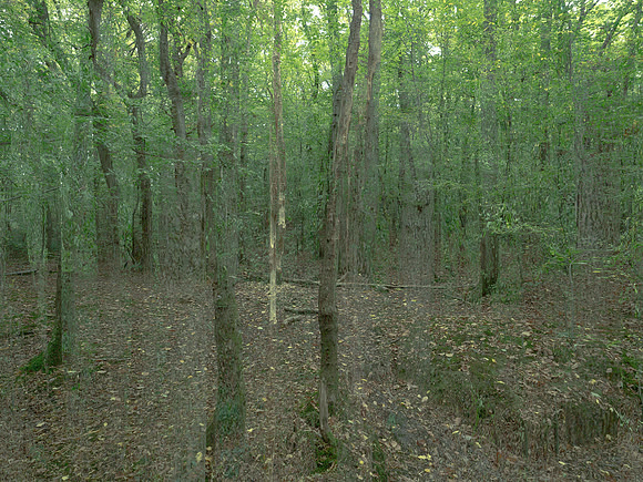 201016-3-7