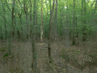 201016-3-10
