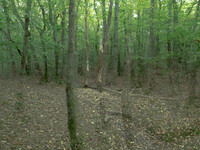 201016-3-5