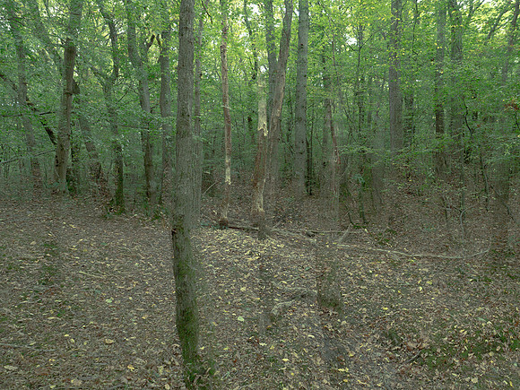 201016-3-5