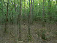 201016-3-12