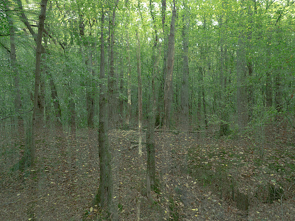 201016-3-11