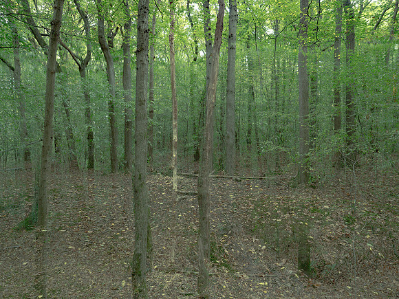 201016-3-13