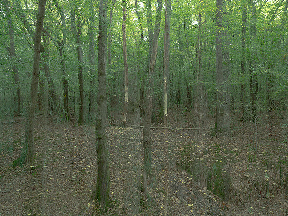 201016-3-9