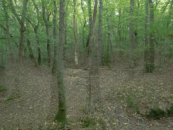 201016-3-2