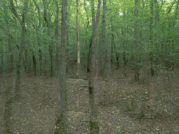 201016-3-8