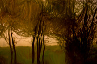 2011-11-15-206
