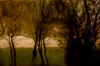 2011-11-15-206-3