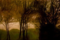 2011-11-15-206-5