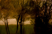 2011-11-15-206-2