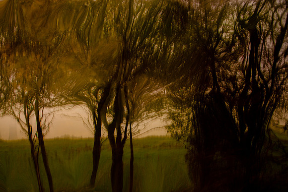 2011-11-15-206-2
