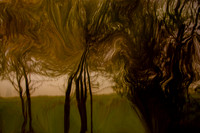 2011-11-15-206-6