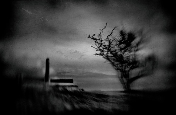 22-01-09 242-Edit