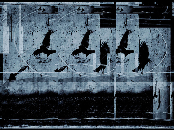 17-169