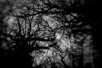 2013-01-02-292-4