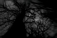 2013-01-02-299-2