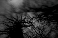 2013-01-02-292-3