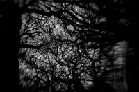 2013-01-02-298-2