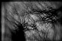 2013-01-02-292-2