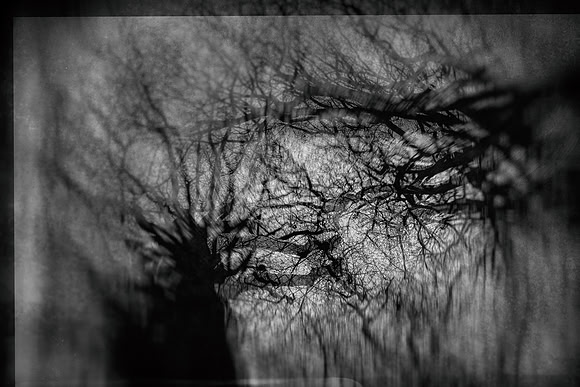 2013-01-02-292-2