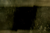 20140203-030214 #317-6
