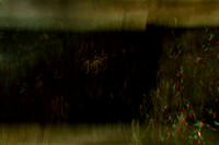 20140203-030214 #317-4
