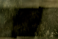 20140203-030214 #317-8