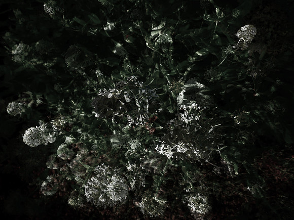 160616-5-20