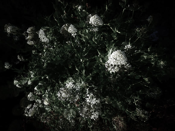 160616-5-6