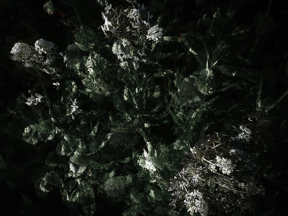 160616-5-10