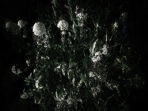 160616-5-1