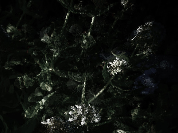 160616-5-12