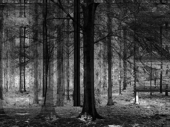 15-23