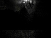 221116-1-4